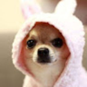 Meet your Posher, Melany